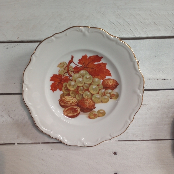 Set of 2 Vintage Fruit & Nut Designs Plates Winterling Roslau Bavaria Germany - Picture 4 of 10